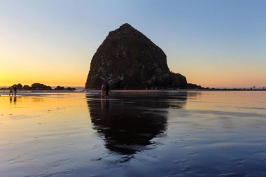 Beachcombers Haystack Rock top Beach Oregon