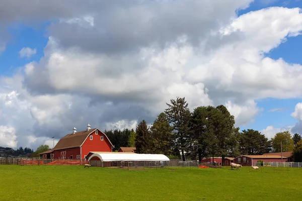 Fienile rosso su pascolo verde in Oregon — Foto Stock