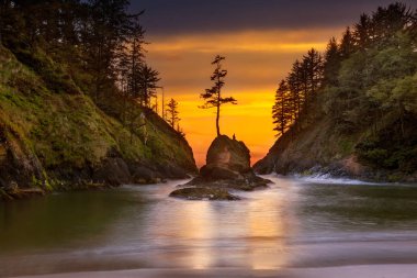 Ölü insan 's Cove içinde Cape hayal kırıklığı State Park Oregon kıyılarında günbatımı sırasında