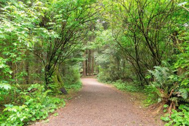İz Fort Clatsop Lewis ve Clark nehir Oregon boyunca, hiking