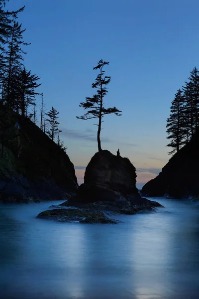 Zmarły Cove Cape Rozczarowanie State Park Oregonie Niebieski Godzinach Wieczór — Zdjęcie stockowe