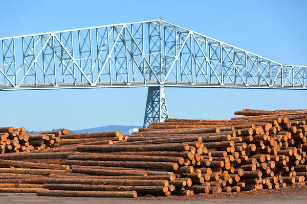 Columbia Nehri Longview Köprüsü Tarafından Rainier Oregon Kereste Fabrikası — Stok fotoğraf