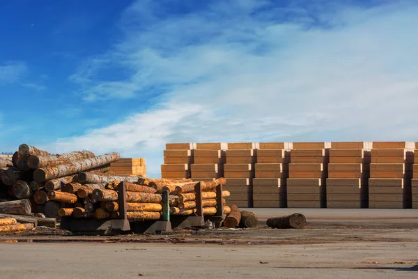 木の丸太やレーニア オレゴンの製材所 合板製品 — ストック写真