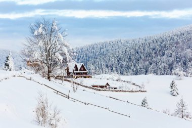 Kardan sonra yoğun kar yağan kozalaklı ormanlar, güzel manzaralar. Kış dağlarında zorluklar