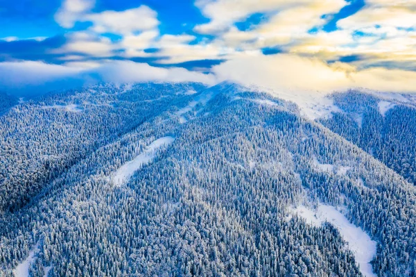 Las iglasty rośnie w zaśnieżonych górach, krajobraz powietrzny. Zimowe wakacje. Czas podróży — Zdjęcie stockowe