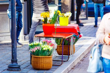 Bahar çiçekleri pazarda satılır, güzellik konsepti. Sokakta laleler ve nergisler