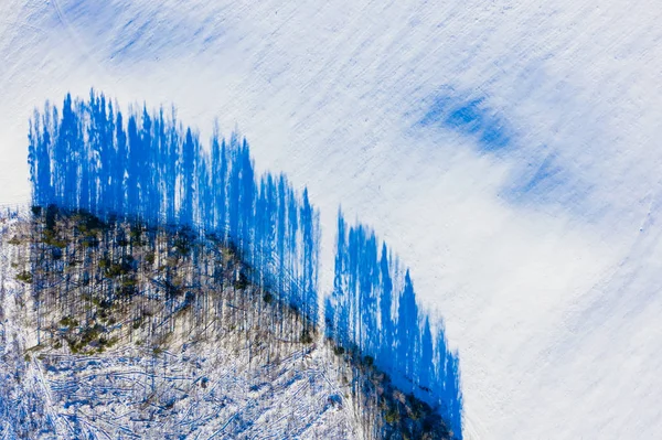 Waldrand-Silhouette auf Schneefeld im ländlichen Raum, Luftbild. Umweltkonzept — Stockfoto