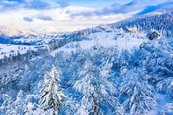 Mischwald nach Schneesturm in den Bergen, Luftlandschaft. Baum — Stockfoto