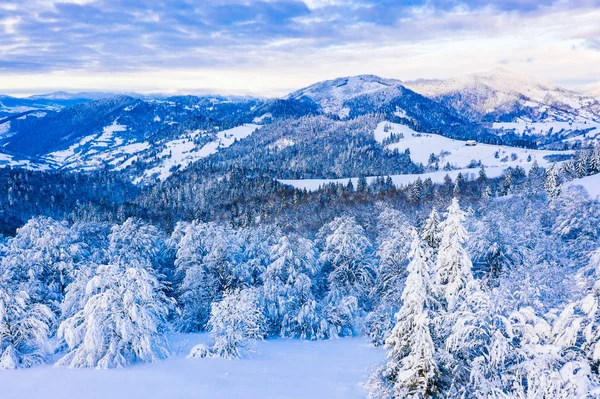 Starker Schnee auf Ästen auf Hügeln, Winterlandschaft. adventur — Stockfoto