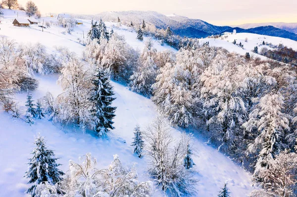 Bosque mixto en la zona montañosa en el día soleado después de fuertes nevadas, paisaje aéreo. Trekking en las montañas —  Fotos de Stock