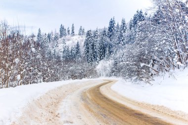 Kar dağlarında boş bir yol, kış manzarası. Kar fırtınasından sonra kozalaklı orman