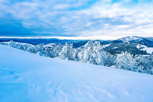 Pendiente de montaña después de una fuerte ventisca, hermoso paisaje.Ramas de árboles cubiertos de capa de nieve gruesa —  Fotos de Stock