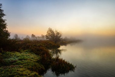 Sabahın şafağı. Tazelik