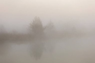 Orman nehrinde yoğun sis var. Bulanık arkaplan ve çeşitli çekimler