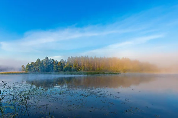 Fond Estival Beau Lac Dans Brouillard Sur Fond Forêt Tôt — Photo