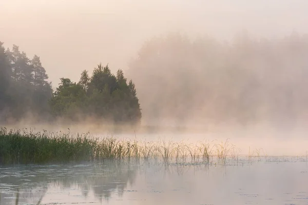 Paysage Estival Forte Brume Rose Sur Rivière Concept Environnement — Photo