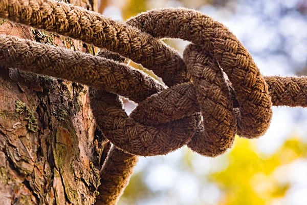 Strong Tight Knot Connection Communication Concept Tourism Activity Camping Element — Stock Photo, Image