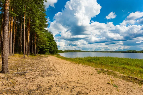 Odpočiň Březovém Jezírku Lesní Barevné Jezero Jasného Počasí Kempování Jezera — Stock fotografie