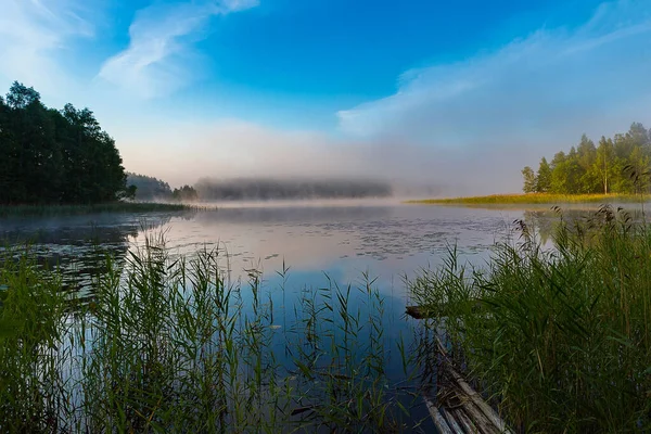 Růžová Mlha Nad Ranní Řekou Čerstvé Ráno Slunečného Počasí Rybářské — Stock fotografie