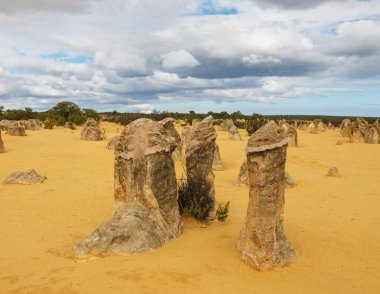 Pinnacles çöl Nambung Milli Parkı