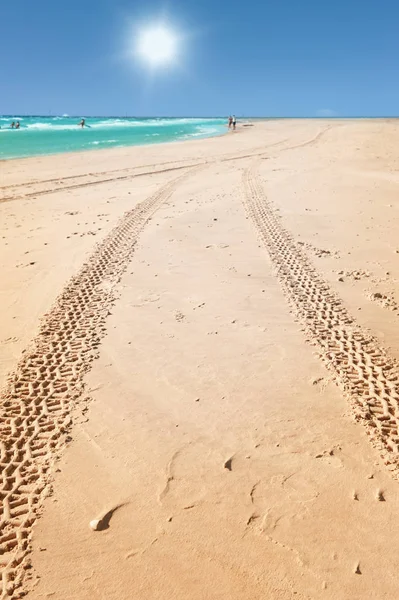 Tractor tracks on the beach — Stock Photo, Image