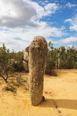 Pinnacles çöl Nambung Milli Parkı