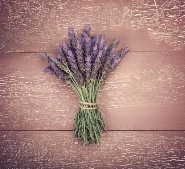Bunt av lavendel blommor — Stockfoto