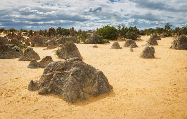 Gele zandduinen en kalkstenen pilaren pinakels woestijn in het Nambung National Park — Stockfoto