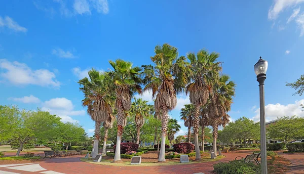 Circle of palm trees on the Beaufort, South Carolina waterfront — Stockfoto