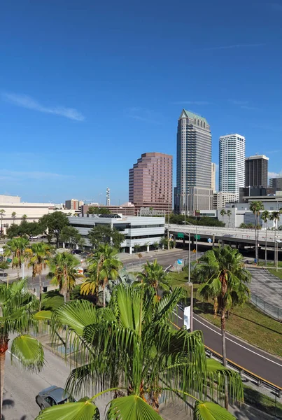 高層ビルやオフィスビルとタンパ フロリダ州の部分的なスカイライン垂直 — ストック写真