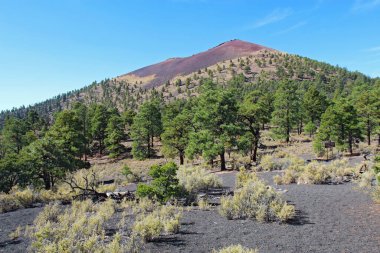 Flagstaff, Arizona 'nın kuzeyindeki Sunset Volkan Ulusal Anıtı' ndaki kül konisinin eğimi