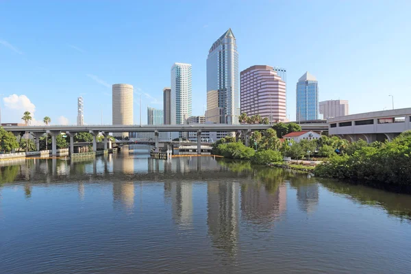 Teilweise Skyline Von Tampa Florida Mit Usf Park Und Geschäftsgebäuden — Stockfoto