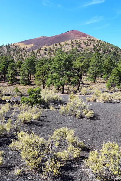 亚利桑那州弗拉格斯塔夫以北日落火山口国家纪念碑的煤渣锥斜坡 — 图库照片