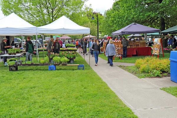 Hamilton New York Mai 2017 Vendeurs Acheteurs Marché Fermier Local — Photo