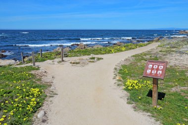 PACIFIC GROVE, CALIFORNIA - MARCH 17 2017: Walkway, sign,  surf, rocks and early spring wildflowers of the park at Asilomar State Beach on the Monterey Peninsula.