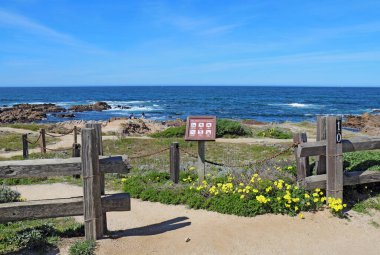 PACIFIC GROVE, CALIFORNIA - MARCH 17 2017: Walkway, fence, sign and early spring wildflowers with people, surf and rocks in the background of the park at Asilomar State Beach on the Monterey Peninsula