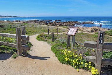 PACIFIC GROVE, CALIFORNIA - MARCH 17 2017: Walkway, fence, sign and early spring wildflowers with people, surf and rocks in the background of the park at Asilomar State Beach on the Monterey Peninsula