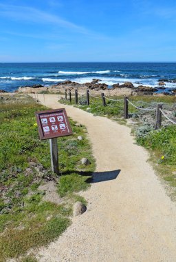 PACIFIC GROVE, CALIFORNIA - MARCH 17 2017: Walkway, sign, surf, rocks and early spring wildflowers of the park at Asilomar State Beach on the Monterey Peninsula.