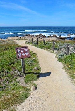 PACIFIC GROVE, CALIFORNIA - MARCH 17 2017: Walkway, sign, surf, rocks and early spring wildflowers of the park at Asilomar State Beach on the Monterey Peninsula. clipart