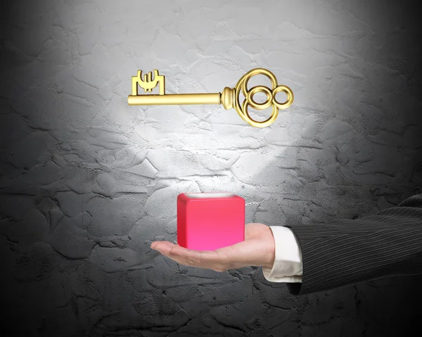 Male hand holding red block with golden Euro symbol — Stock Photo, Image