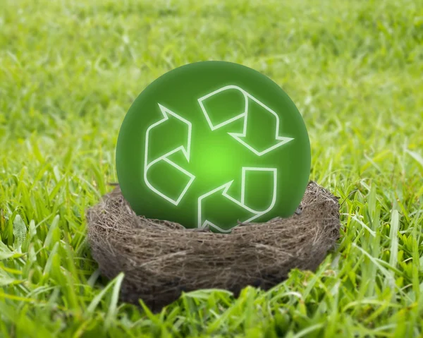 Bola de reciclagem verde no ninho — Fotografia de Stock