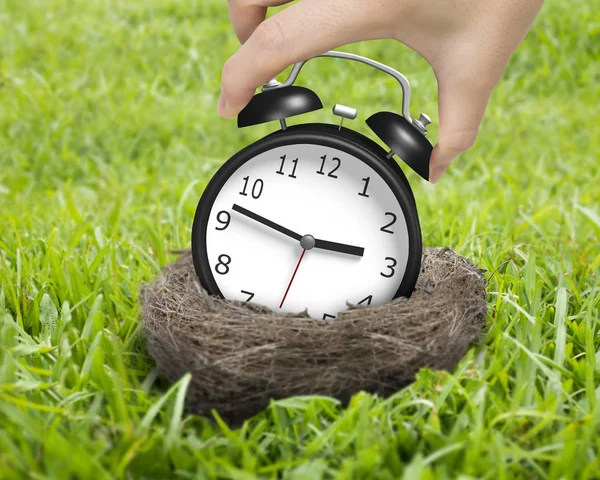 Woman hand holding alarm clock in nest — Stock Photo, Image