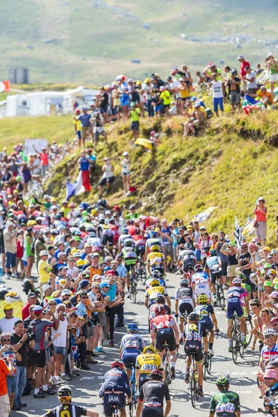 Пелотон в горах - Тур де Франс 2016 — стоковое фото
