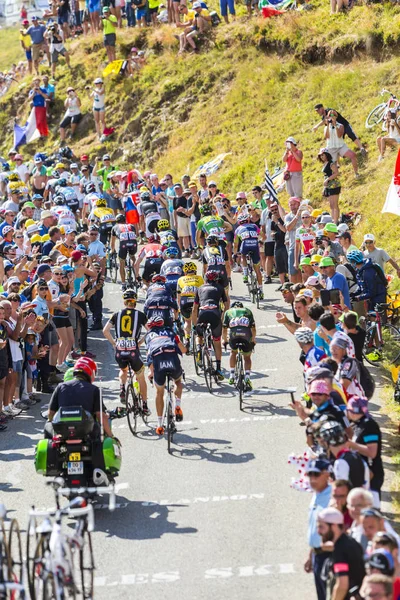 Il Peloton in Montagna - Tour de France 2016 — Foto Stock