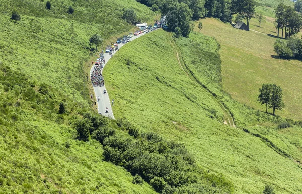 The Peloton on Col d'Aspin - Tour de France 2015 — Stock Photo, Image