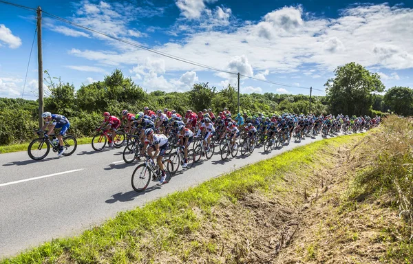 The Peloton - Tour de France 2016 — Stock Photo, Image