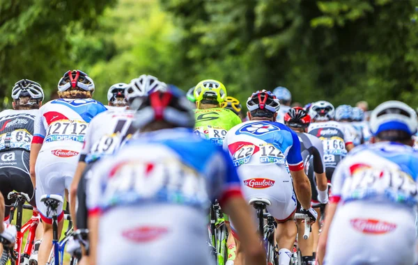 Peloton - Tour de France 2016 — Stock fotografie