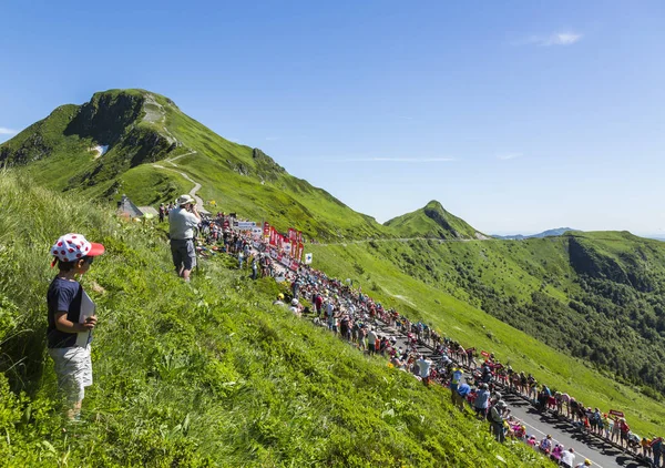 The Peloton in Mountains - Tour de France 2016 — Stock Photo, Image