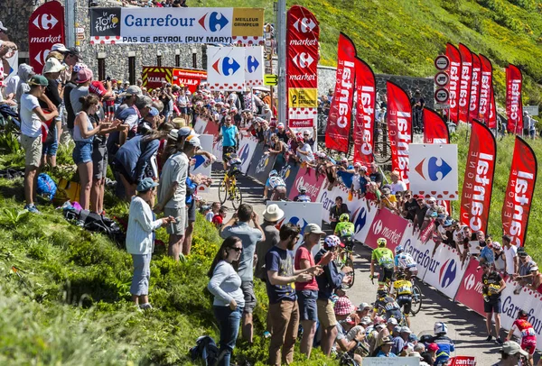 Peloton v horách - Tour de France 2016 — Stock fotografie