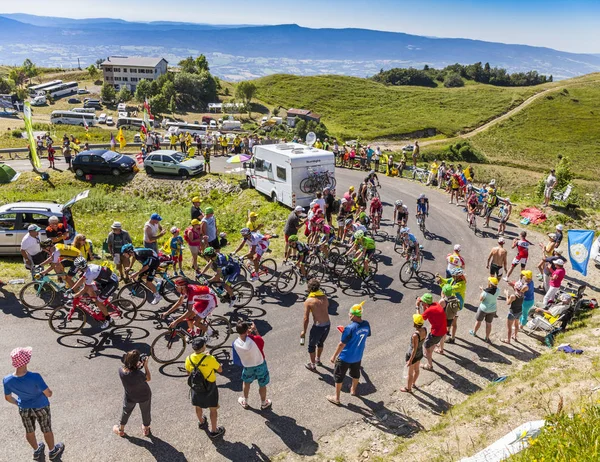 The Peloton on on Col du Grand Colombier - Tour de France 2016 — Stok fotoğraf